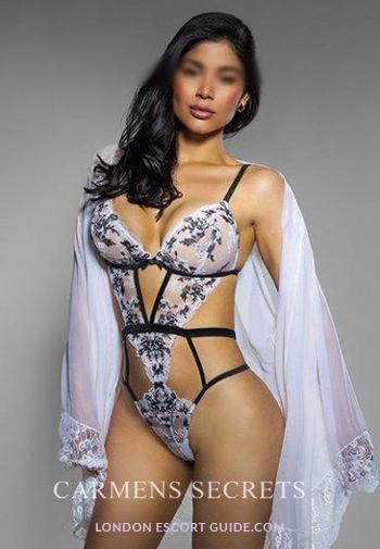 Outcall Only brunette Anna london escort